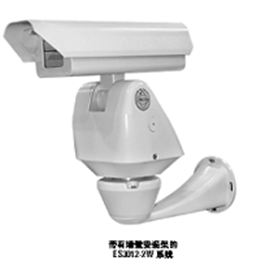 Pelco ES3012-5W 派爾高護(hù)罩云臺一體機